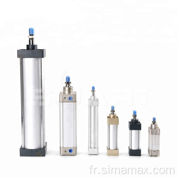 Cylindre pneumatique standard de la série SI